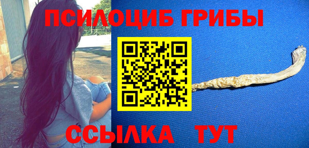 Воткинск  Галлюциногенные грибы прущие грибы  Вход с VPN 