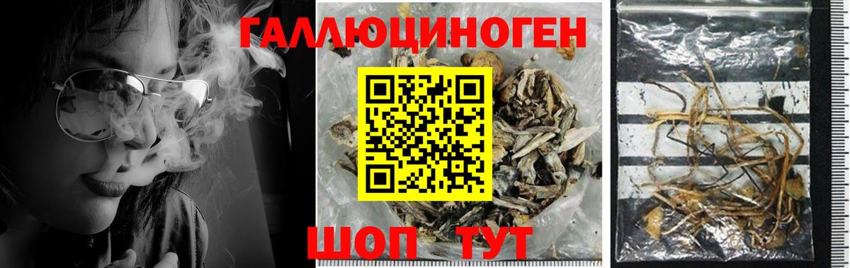 Псилоцибиновые грибы ЛСД Воткинск